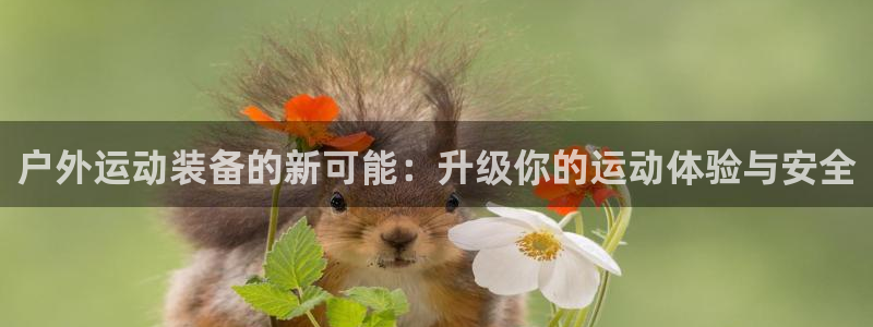 万利记官方旗舰店官网