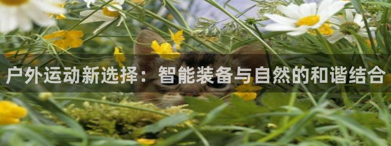 利记官网葡京投注网址