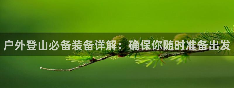 利记官网入口最新版