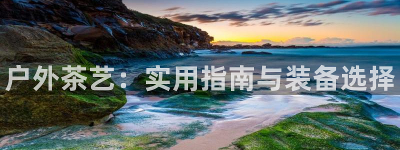 利记体育投注官网