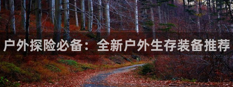 sbo利记体育官网注册