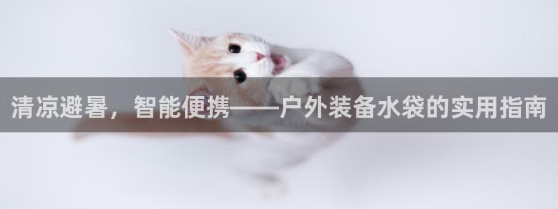 铂利记旗舰店官网电话