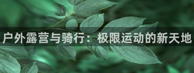 澳门大利来记官网